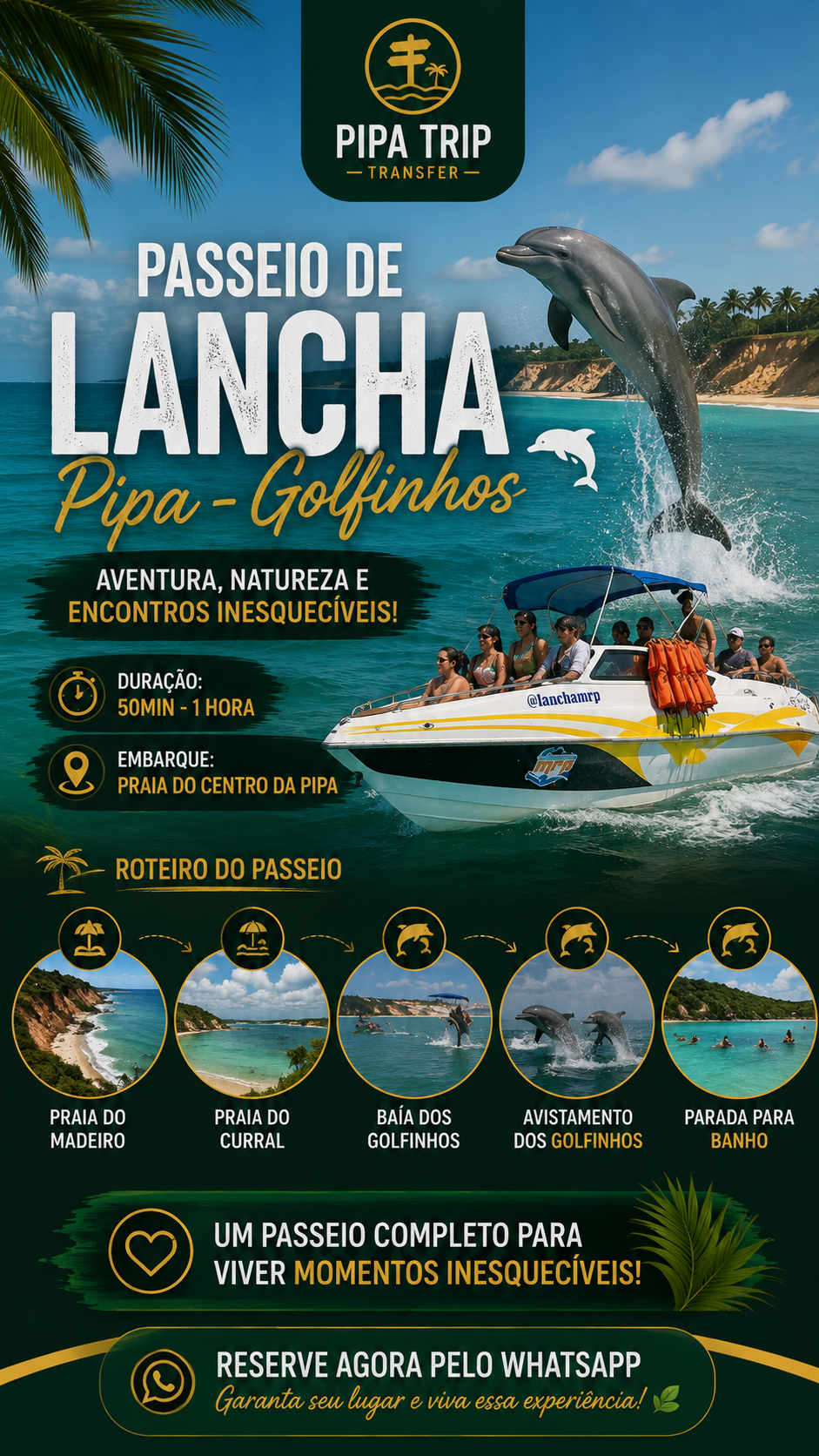 Lancha Pipa — Golfinhos